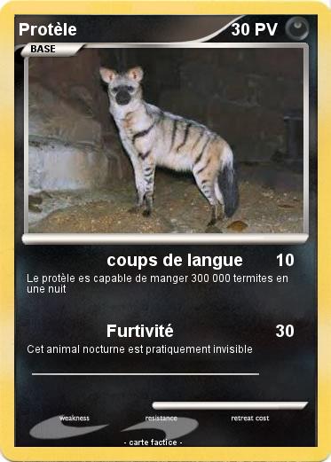 Pokemon Protèle