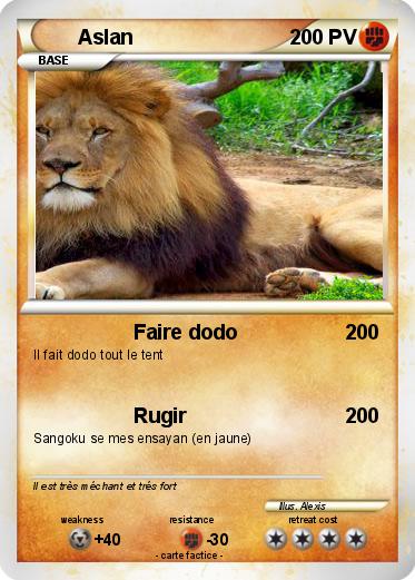 Pokemon Aslan