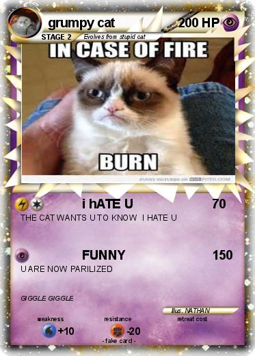 Pokemon grumpy cat