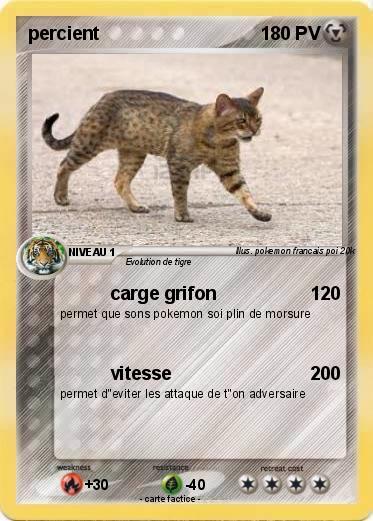 Pokemon percient