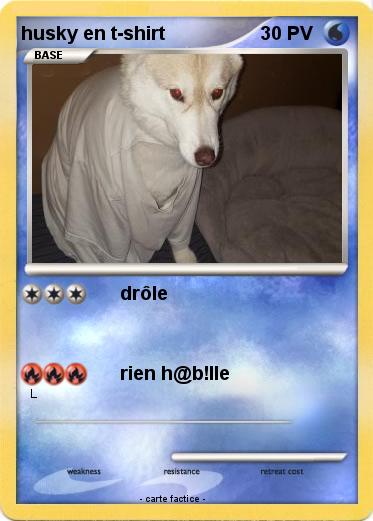 Pokemon husky en t-shirt