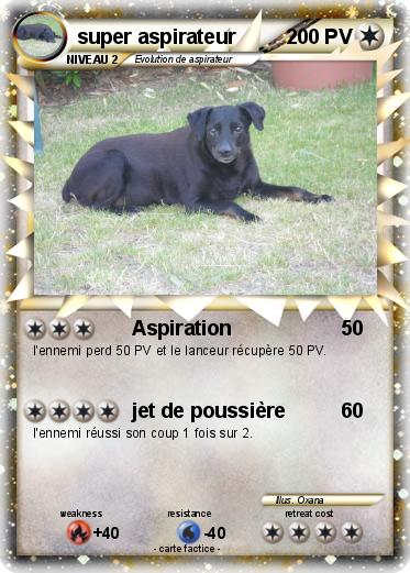 Pokemon super aspirateur