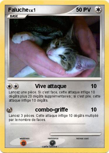 Pokemon Faluche