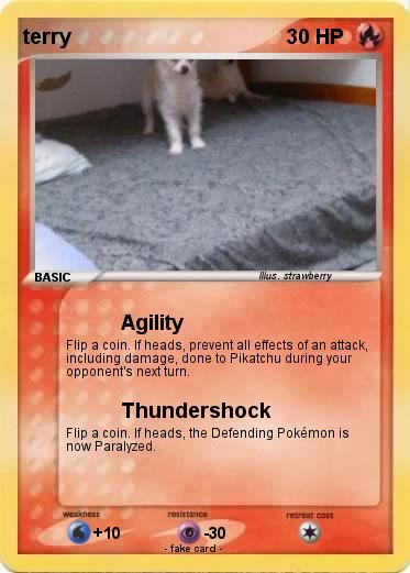 Pokemon terry