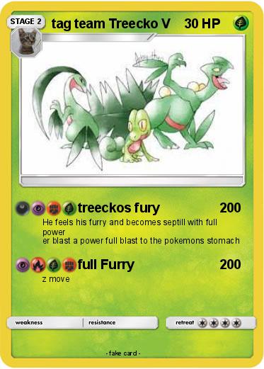 Pokemon tag team Treecko V