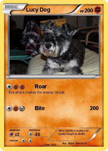 Pokemon Lucy Dog