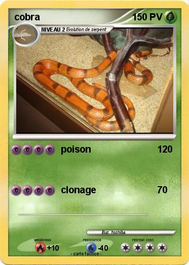 Pokemon cobra