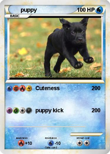 Pokemon puppy