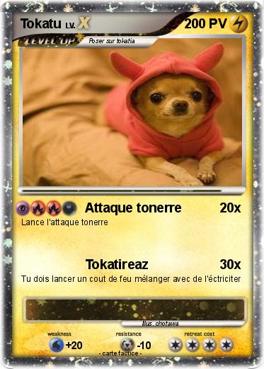 Pokemon Tokatu
