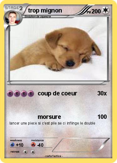 Pokemon trop mignon