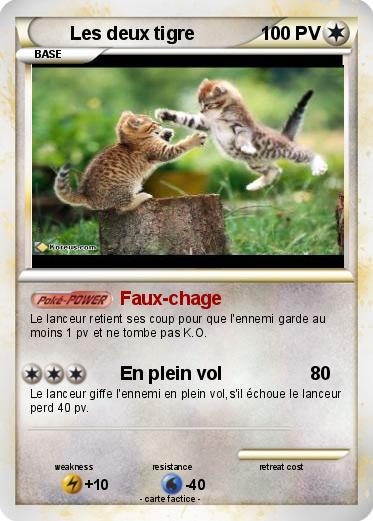 Pokemon Les deux tigre