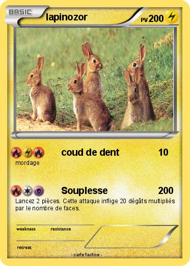 Pokemon lapinozor