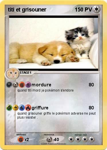 Pokemon titi et grisouner 