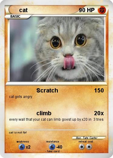 Pokemon cat