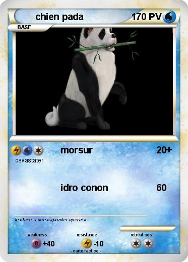 Pokemon chien pada