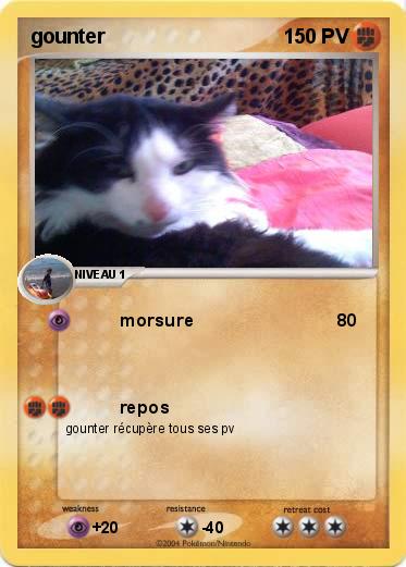 Pokemon gounter                            