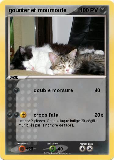 Pokemon gounter et moumoute