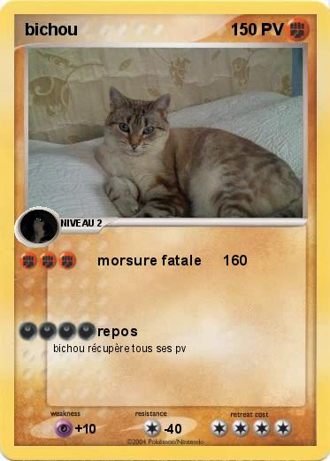 Pokemon bichou                     