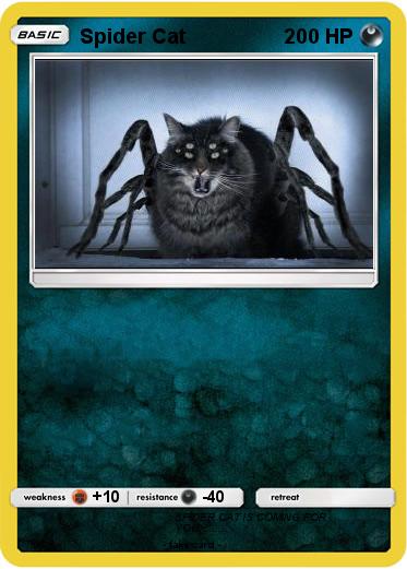 Pokemon Spider Cat