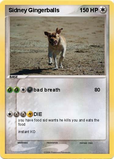 Pokemon Sidney Gingerballs