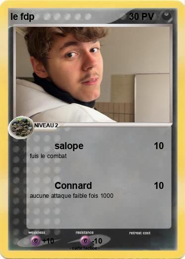 Pokemon le fdp
