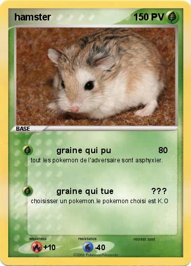 Pokemon hamster