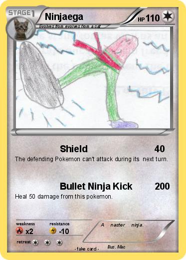 Pokemon Ninjaega