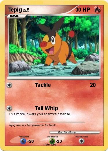 Pokemon Tepig