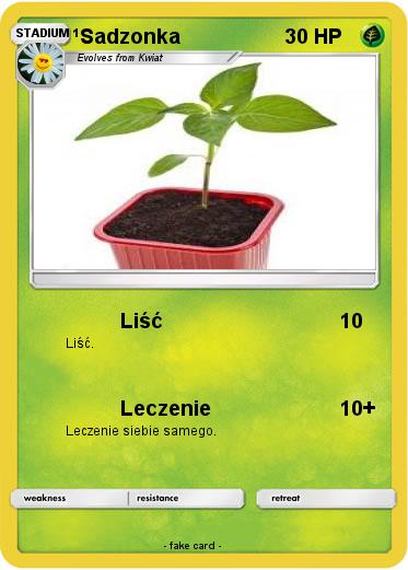 Pokemon Sadzonka