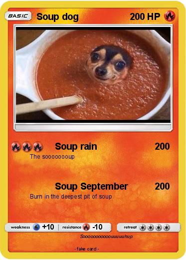 Pokemon Soup dog