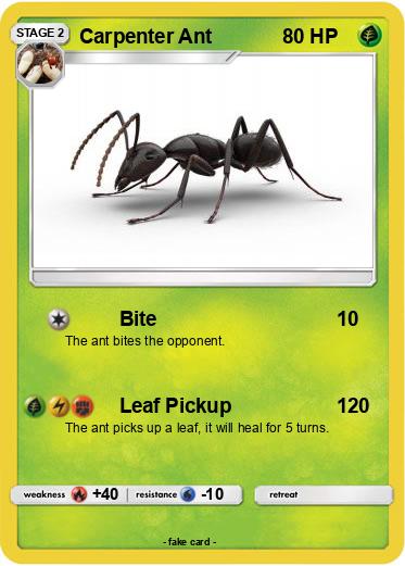 Pokemon Carpenter Ant