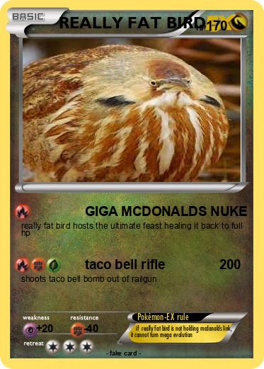 Pokemon REALLY FAT BIRD