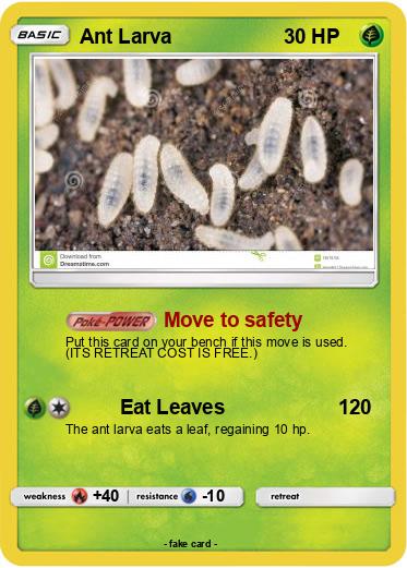 Pokemon Ant Larva