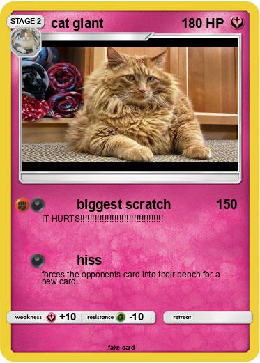 Pokemon cat giant