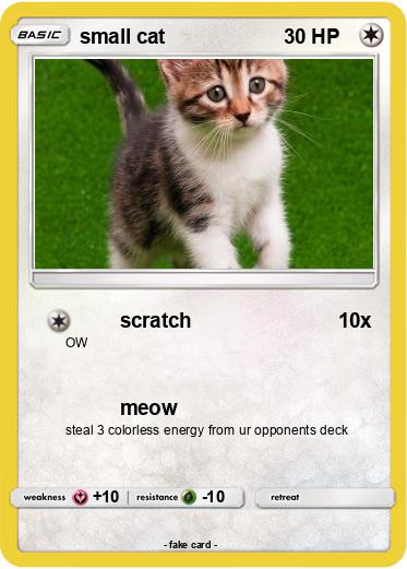 Pokemon small cat