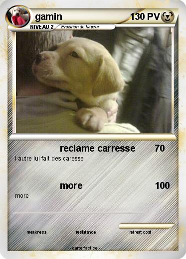 Pokemon gamin