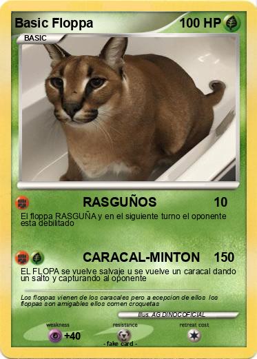 Pokemon Basic Floppa