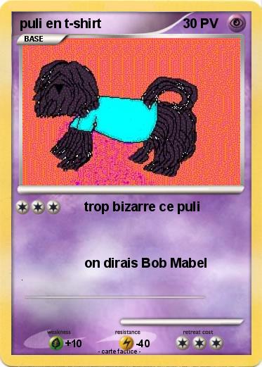 Pokemon puli en t-shirt