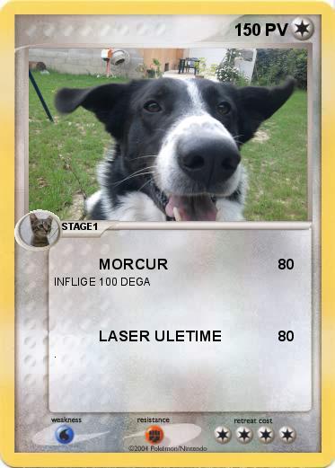 Pokemon 