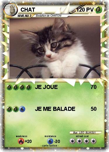 Pokemon CHAT