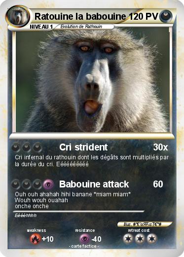 Pokemon Ratouine la babouine