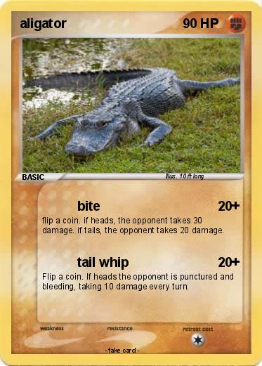 Pokemon aligator