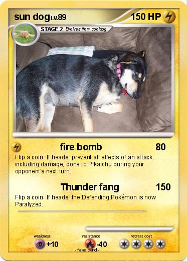 Pokemon sun dog