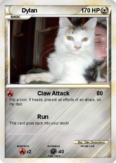 Pokemon Dylan