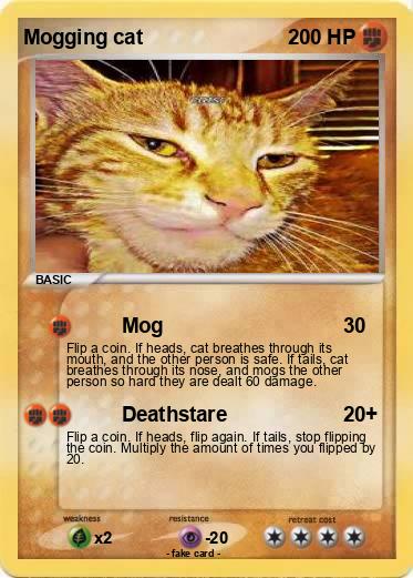 Pokemon Mogging cat