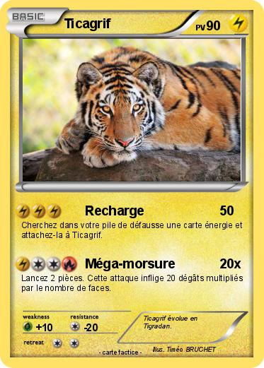 Pokemon Ticagrif