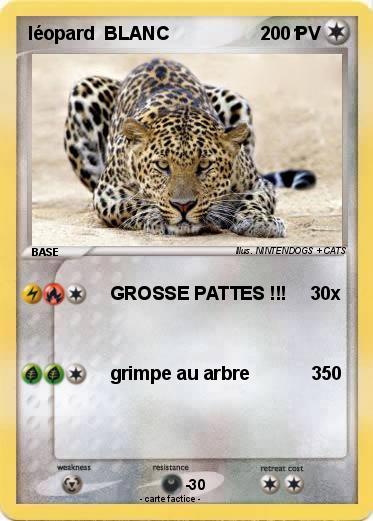 Pokemon léopard  BLANC                        1