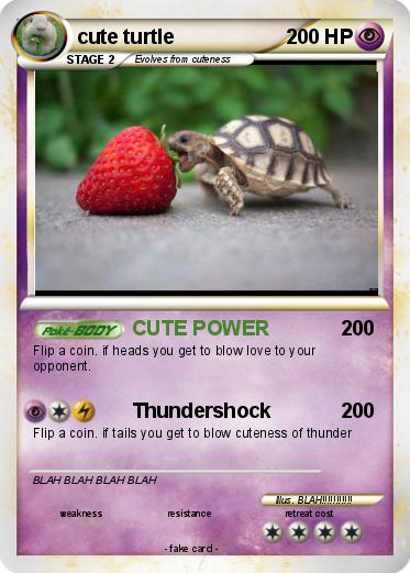 Pokemon cute turtle