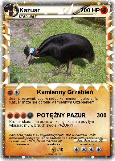 Pokemon Kazuar