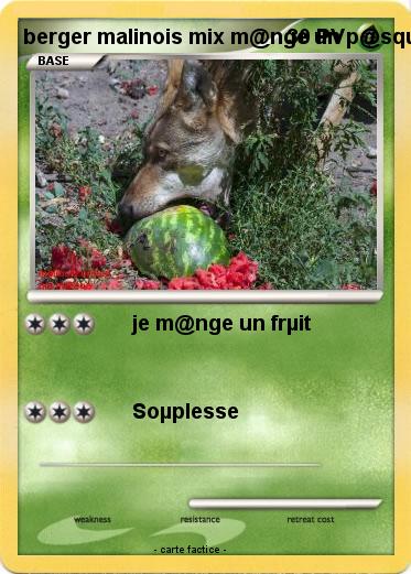 Pokemon berger malinois mix m@nge un p@squet